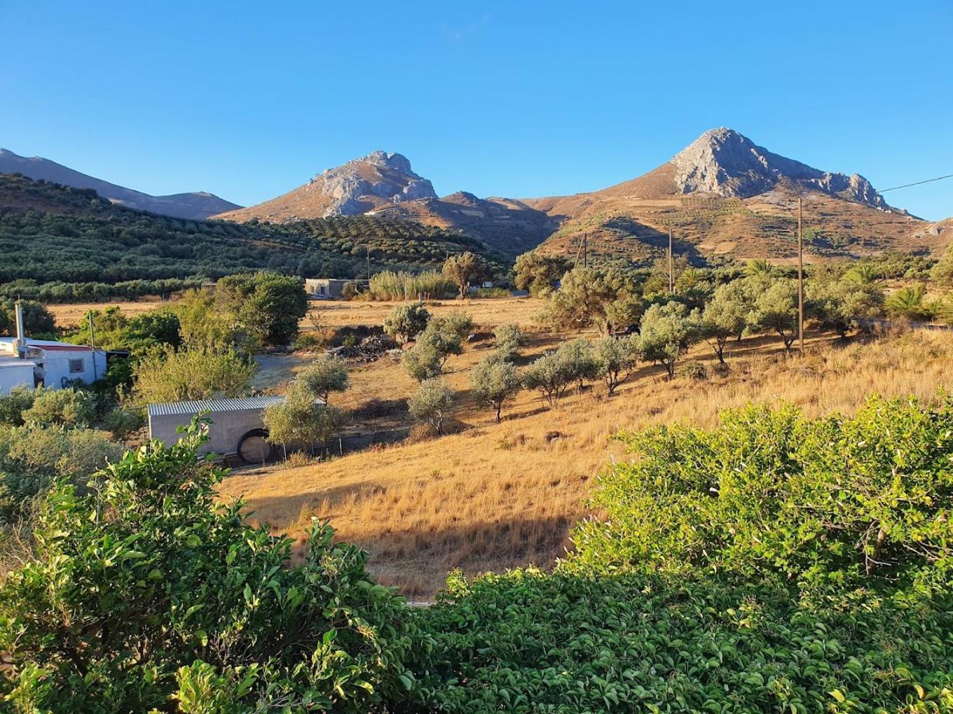 Preveli Hills Apartments Levkogia Extérieur photo